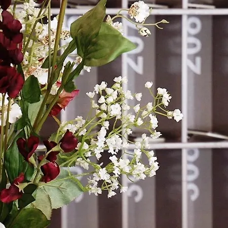 Hotel Arcantis Aquamarina